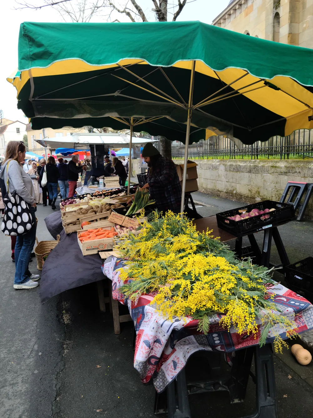 Bunches of bright yellow mimosa flowers displayed at a market stall under a green canvas awning at Bergerac's Saturday market