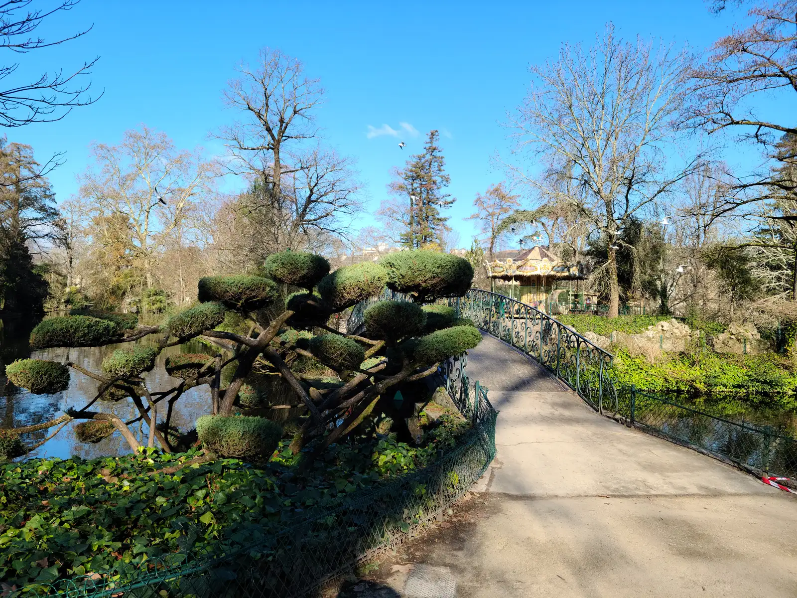 Cloud-pruned topiary tree beside a wrought-iron footbridge over the pond with carousel beyond in Jardin Public, Bordeaux