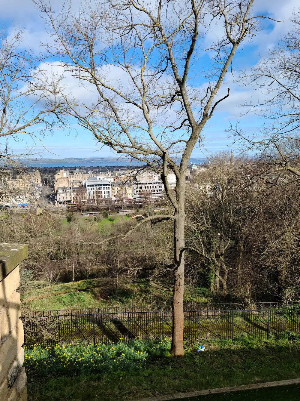 View from Calton Hill through a bare tree across Edinburgh New Town rooftops to the Firth of Forth and Fife hills beyond
