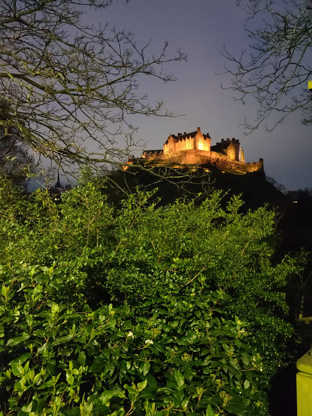 Floodlit Edinburgh Castle glowing amber on its volcanic crag at dusk framed by bare branches and a tall hedge in Princes Street Gardens