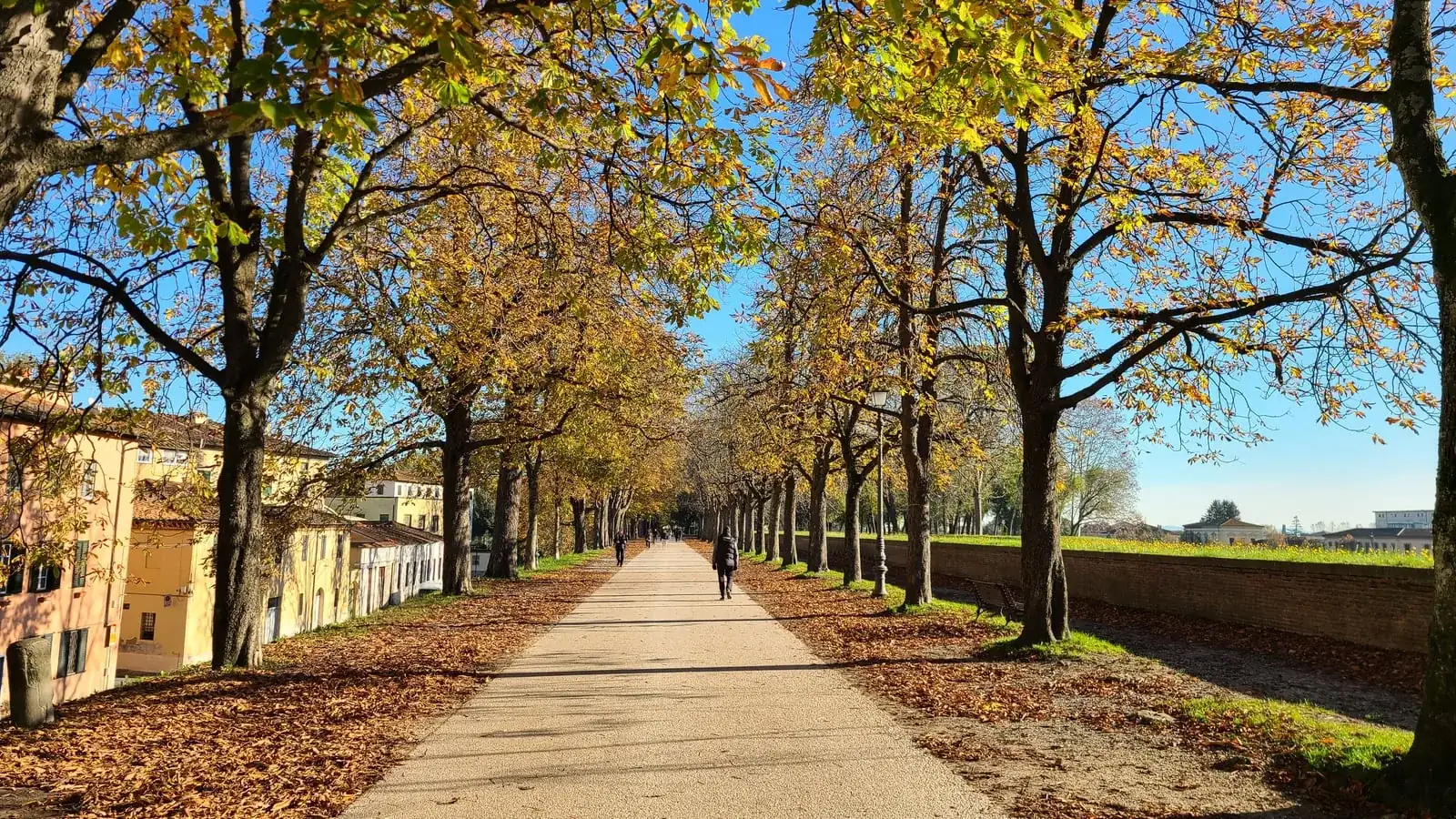 How Many Days in Lucca? Planning Your Perfect Tuscan Stay