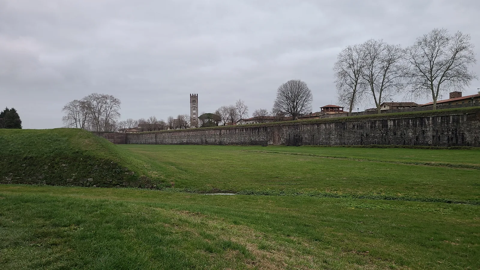 Lucca's city walls embankment with a wide grassy moat, ramparts stretching across the frame, and a medieval tower visible above the treeline on a gray winter day
